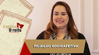 Explica Direito Filiação Socioafetiva  2019 [upl. by Henley617]