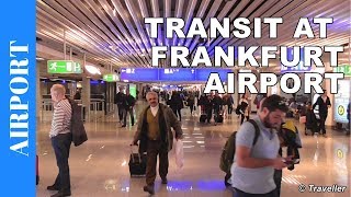 TRANSIT WALK AT FRANKFURT Airport FRA Terminal 1  Connection Flight Transfer Arriving amp Departing [upl. by Burtie680]